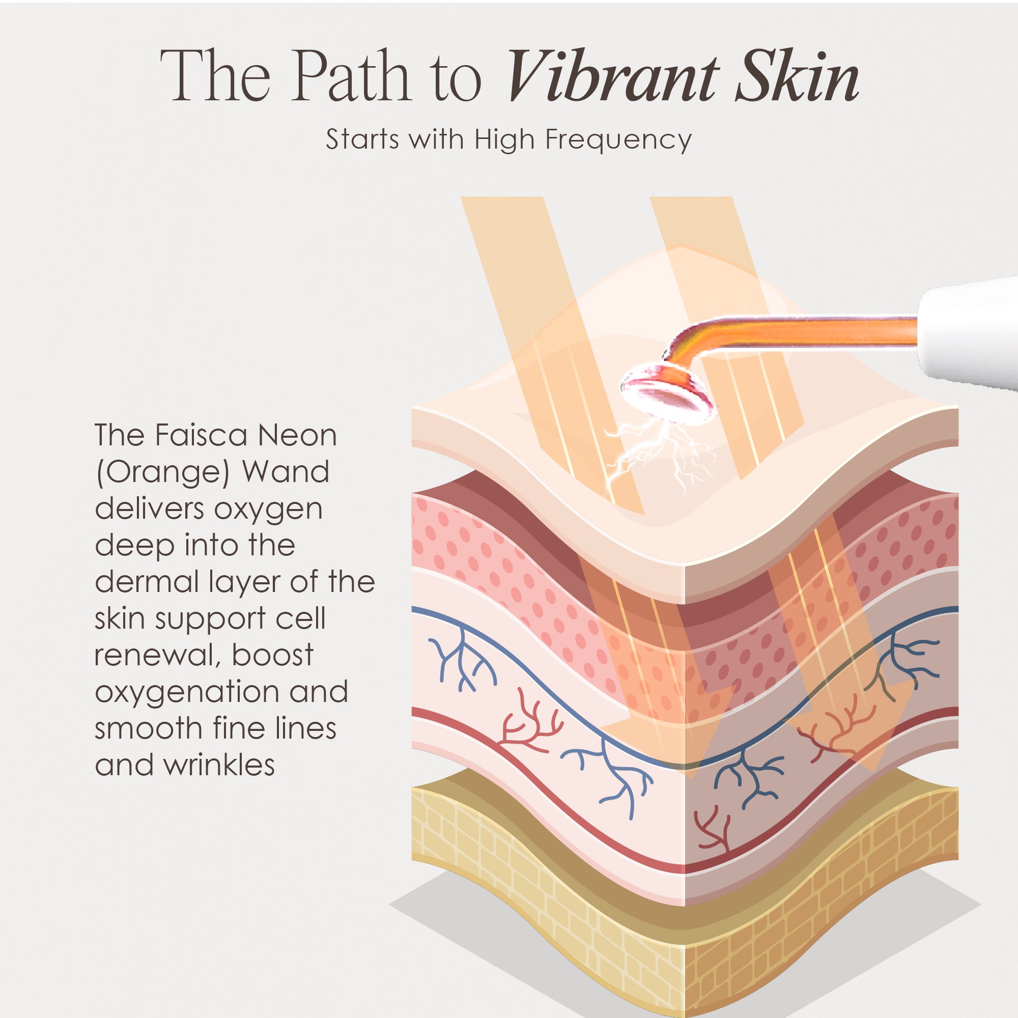 Faisca neon high frequency wand showing skin infographic on how neon high frequency treatment works to smooth wrinkles